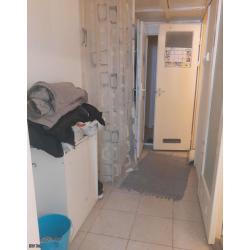 Szeged, Székely sor 21. 2/12. szám alatti bérleményben visszamaradt ingóságok és egyéb hulladékok értékesítése